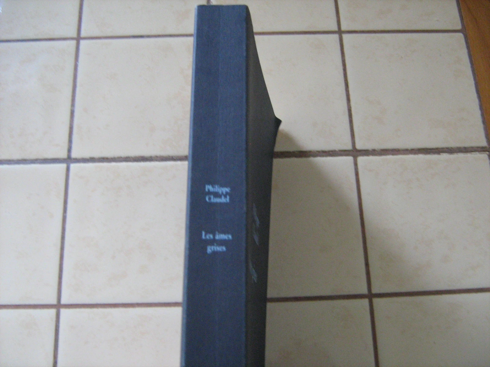as almas cinzentas – photo 2